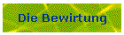 Die Bewirtung