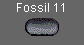  Fossil 11 
