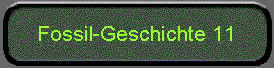  Fossil-Geschichte 11 