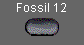  Fossil 12 