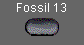  Fossil 13 