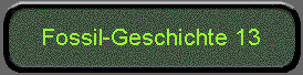  Fossil-Geschichte 13 