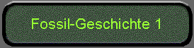  Fossil-Geschichte 1 