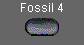  Fossil 4 
