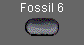  Fossil 6 