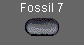  Fossil 7 