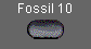  Fossil 10 