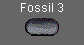  Fossil 3 