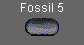  Fossil 5 