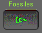  Fossiles 
